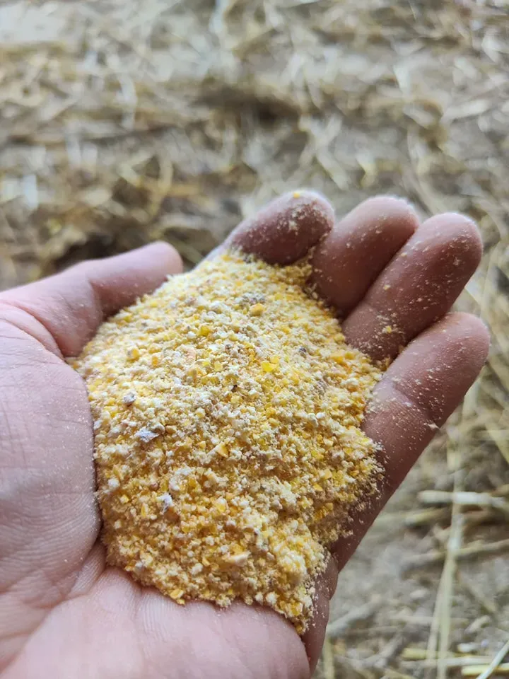 cereales produites a la ferme (4)